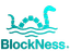 Blockness Logo